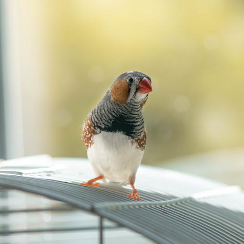 Photo #4896599