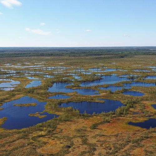 Photo #4896769