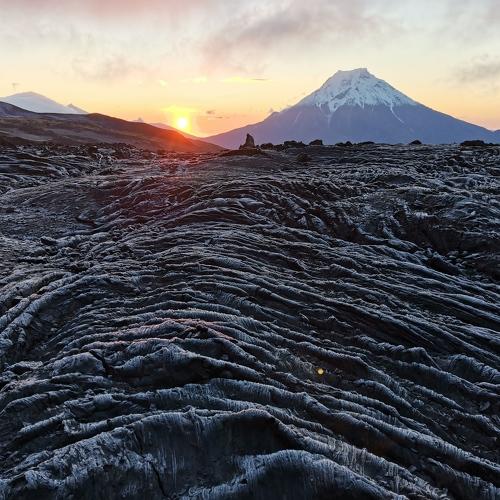 Photo #4897031