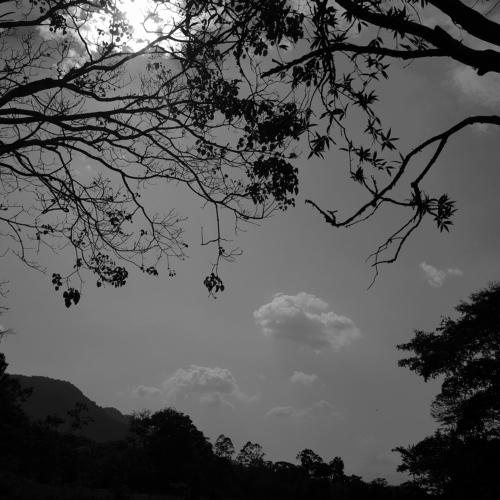Photo #4897330