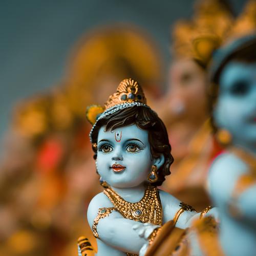 Photo #4897371