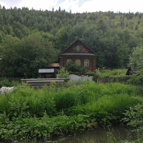 Photo #4897731