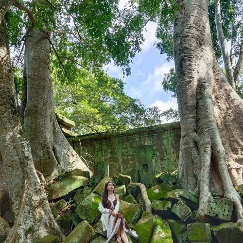 Photo #4897880