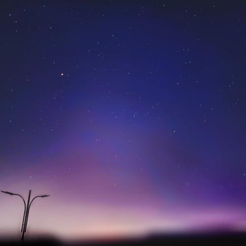 Photo #4898032