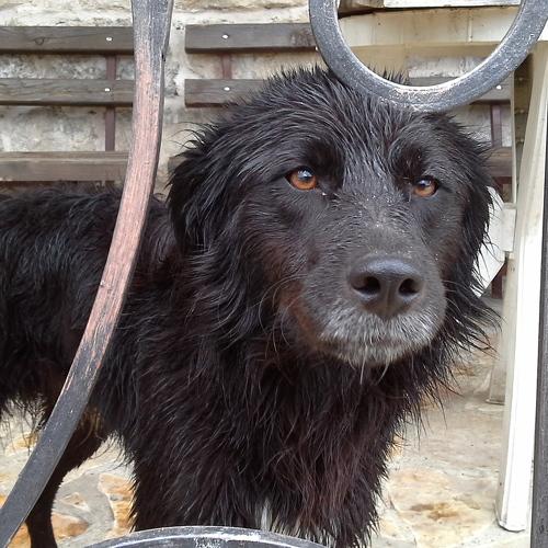 Photo #4898401