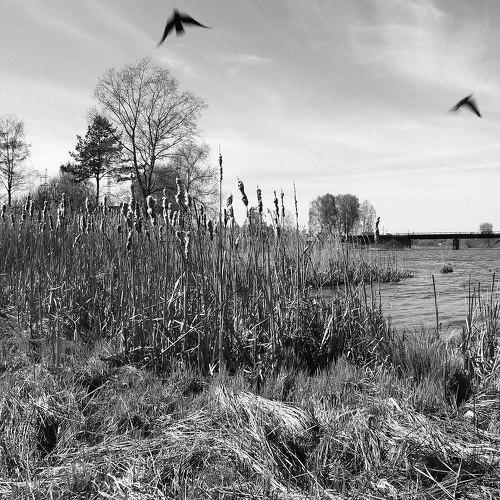 Photo #4898433
