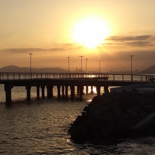Photo #4899930