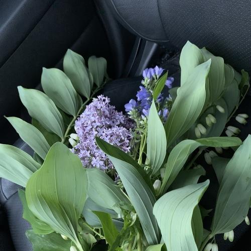 Photo #4900847
