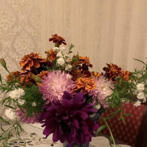 Photo #4900848