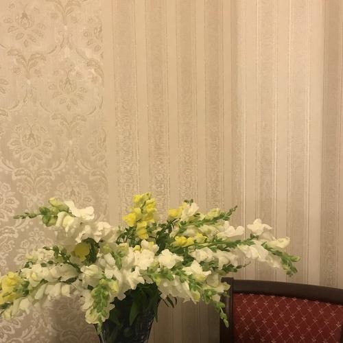 Photo #4900870
