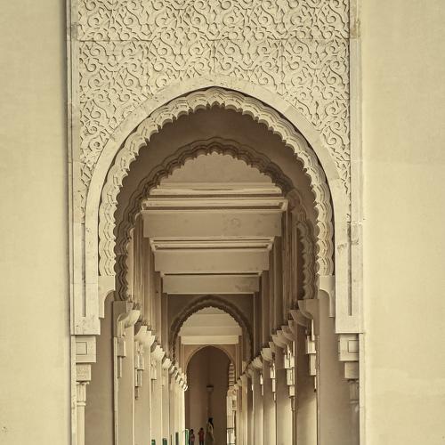 Photo #4901433