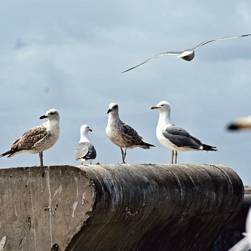 Photo #4901445