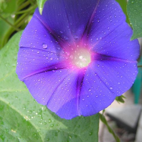 Photo #4901639
