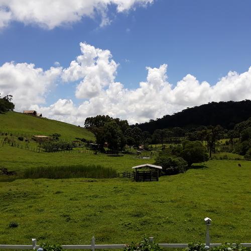 Photo #4901683