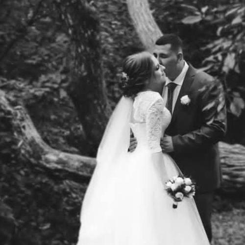Photo #4901747