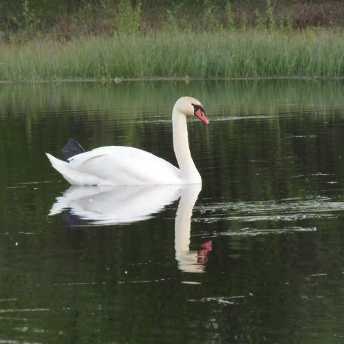 Photo #4902813
