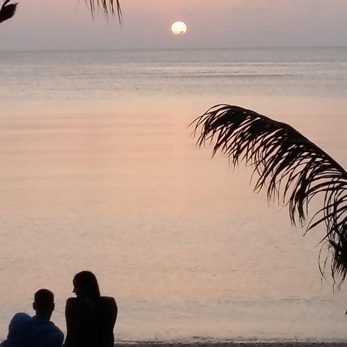 Photo #4902875