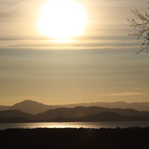 Photo #4903284