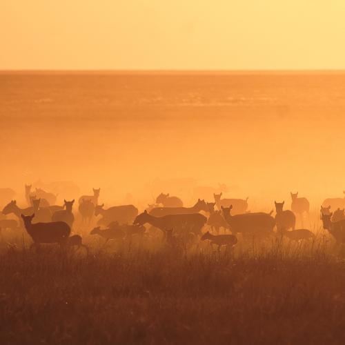 Photo #4903401