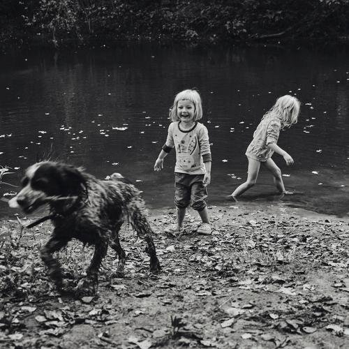 Photo #4903751