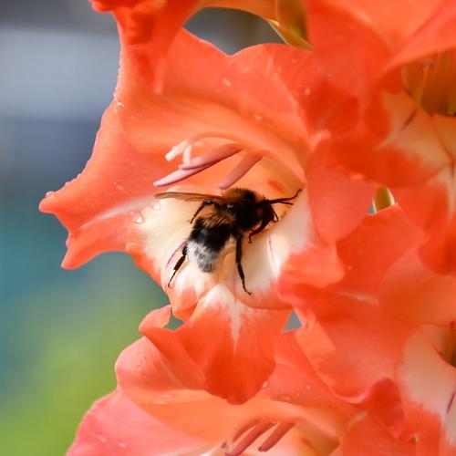 Photo #4903996