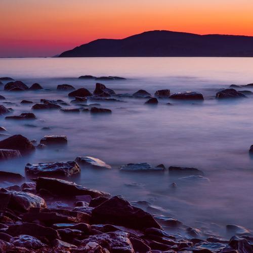 Photo #4904085