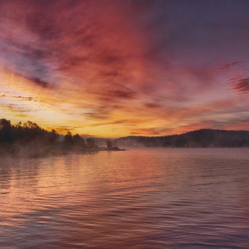 Photo #4904303