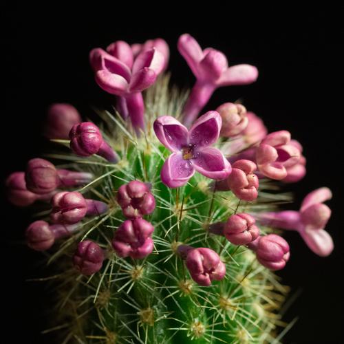 Photo #4905211