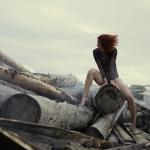 Photo #4905540