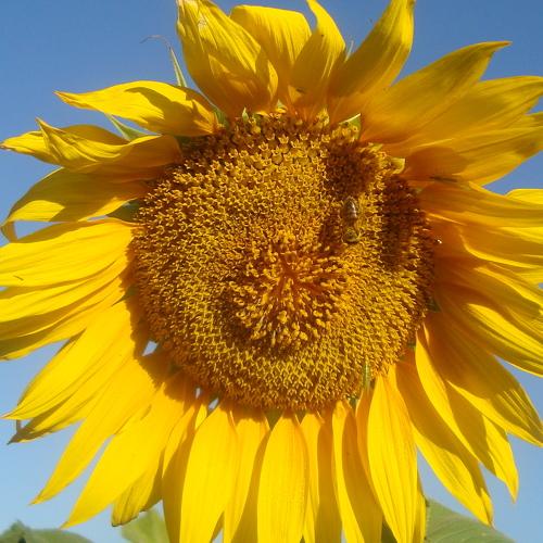 Photo #4905722