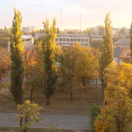 Photo #4905727