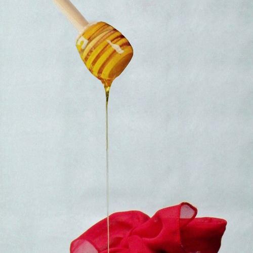 Photo #4906033