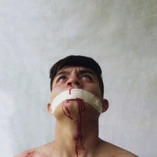 Photo #4906070