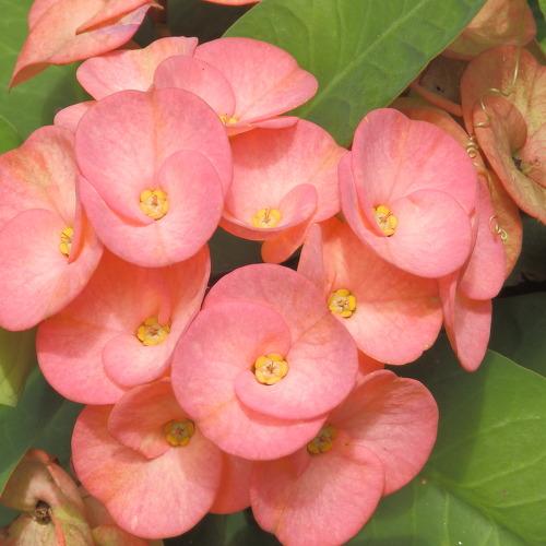 Photo #4906078