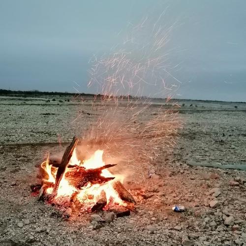 Photo #4906251