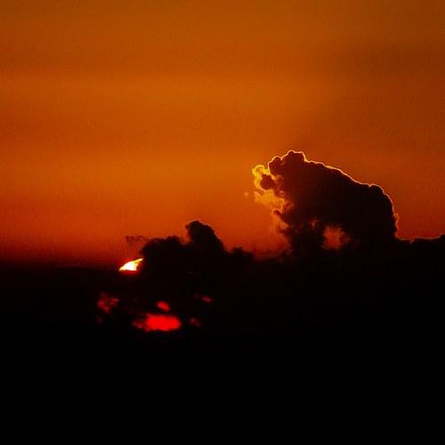 Photo #4906305