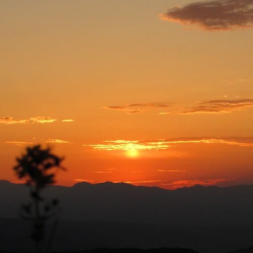 Photo #4906397