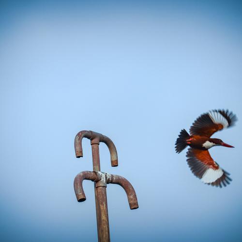 Photo #4907416
