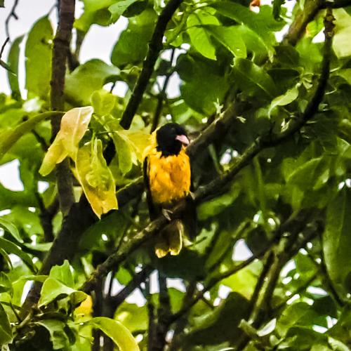 Photo #4907423