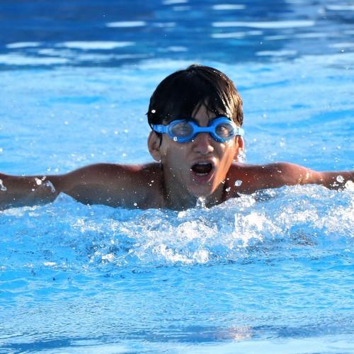 Photo #4907566