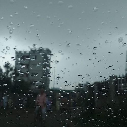 Photo #4907582