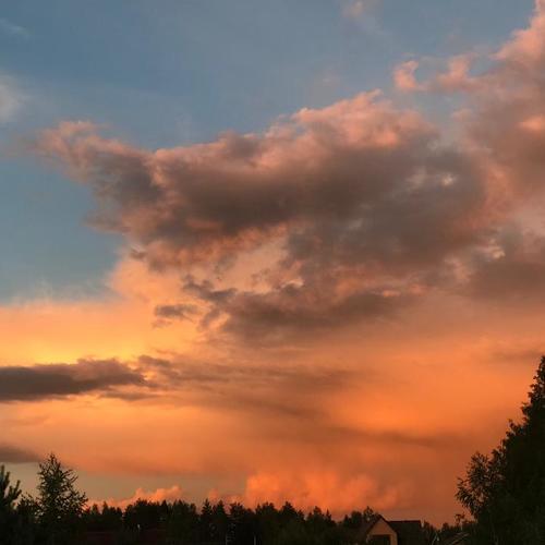 Photo #4908033
