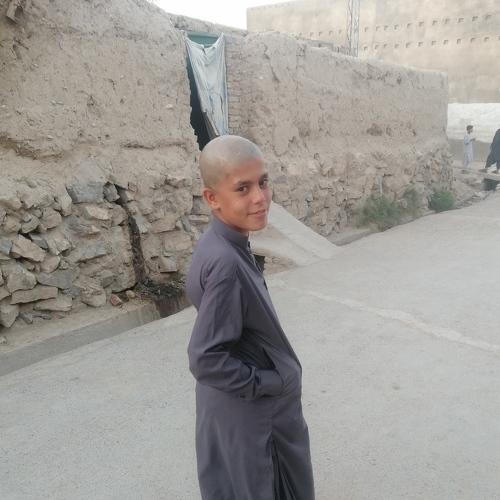 Photo #4908146