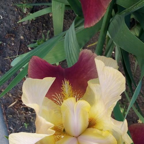 Photo #4908149