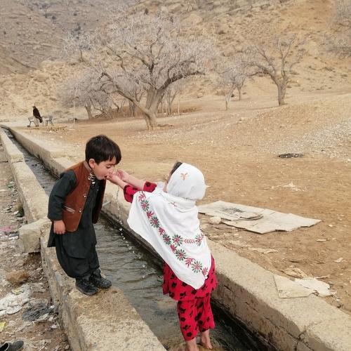 Photo #4908153