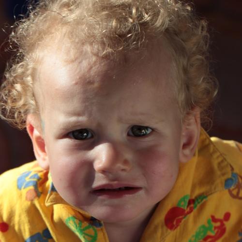 Photo #4908428