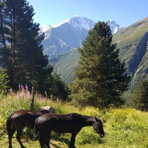 Photo #4908963