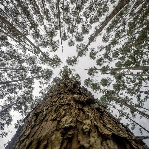 Photo #4909653