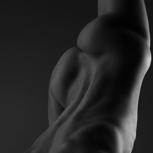 Photo #4910681