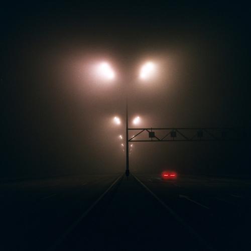Photo #4911106